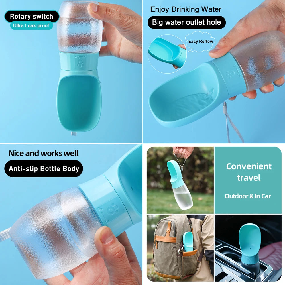 Trailside Sip Water Bottle