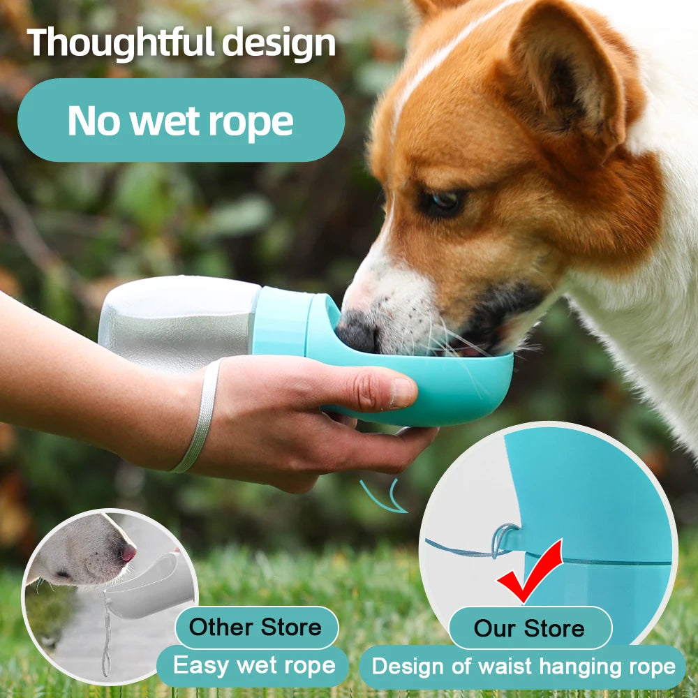 Trailside Sip Water Bottle