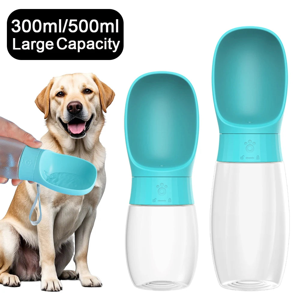 Trailside Sip Water Bottle